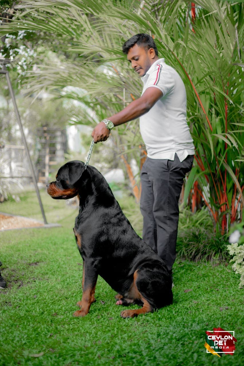 Prince and Sohan