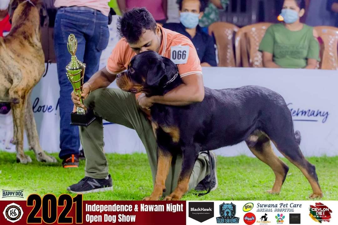 Sohan, founder of Rottwell Kennels